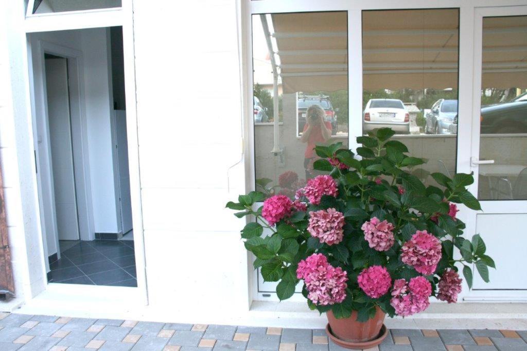 Villa Promajna 4 Exterior photo